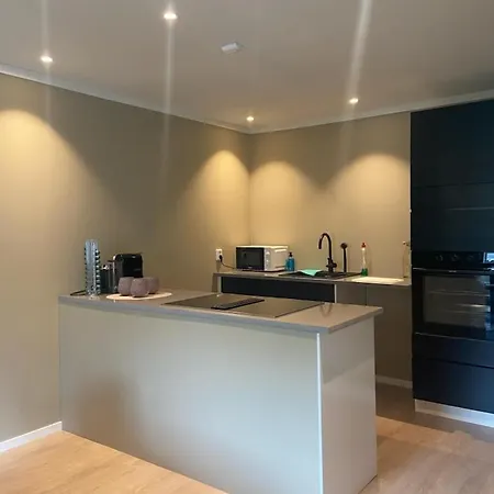 Romutleie - Lyngenvegen 11 Mosjøen